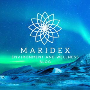 logo del blog su ambiente e benessere